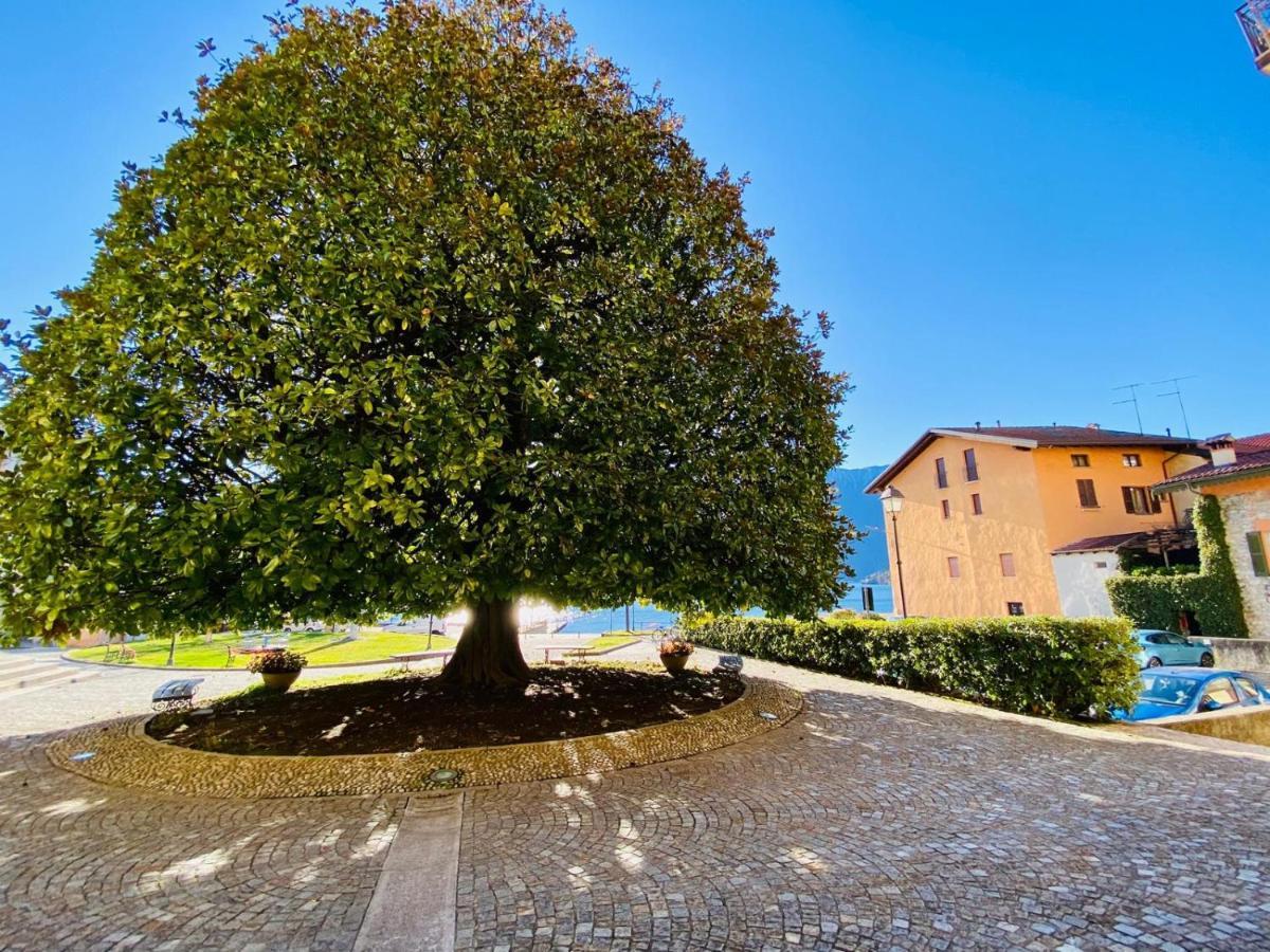 Angelo Loft Villa Tremezzo Exterior photo
